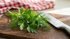 5 Frühlingslebensmittel zur Stärkung des Immunsystems: Was Sie Ihrer Ernährung hinzufügen sollten